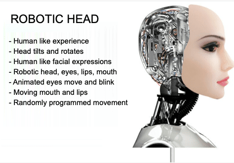 Sex Robot (Robotic Head, non- talking)
