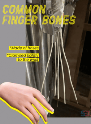 No, do not include articulated fingers